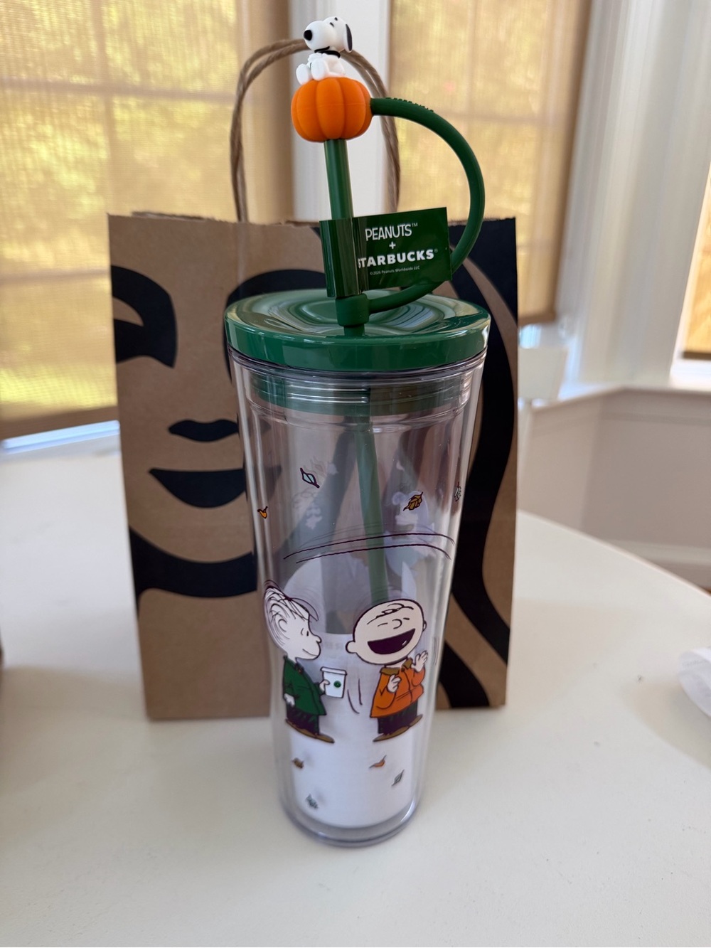 Starbucks Green and Orange Peanuts Snoopy Pumpkin Straw Tumbler